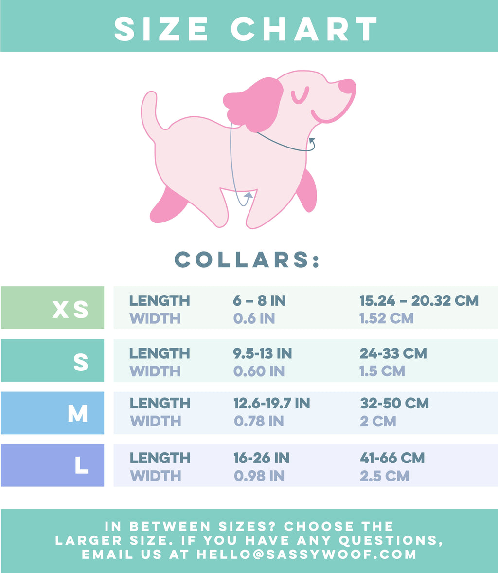 Dog Collar - Polly Pocket™