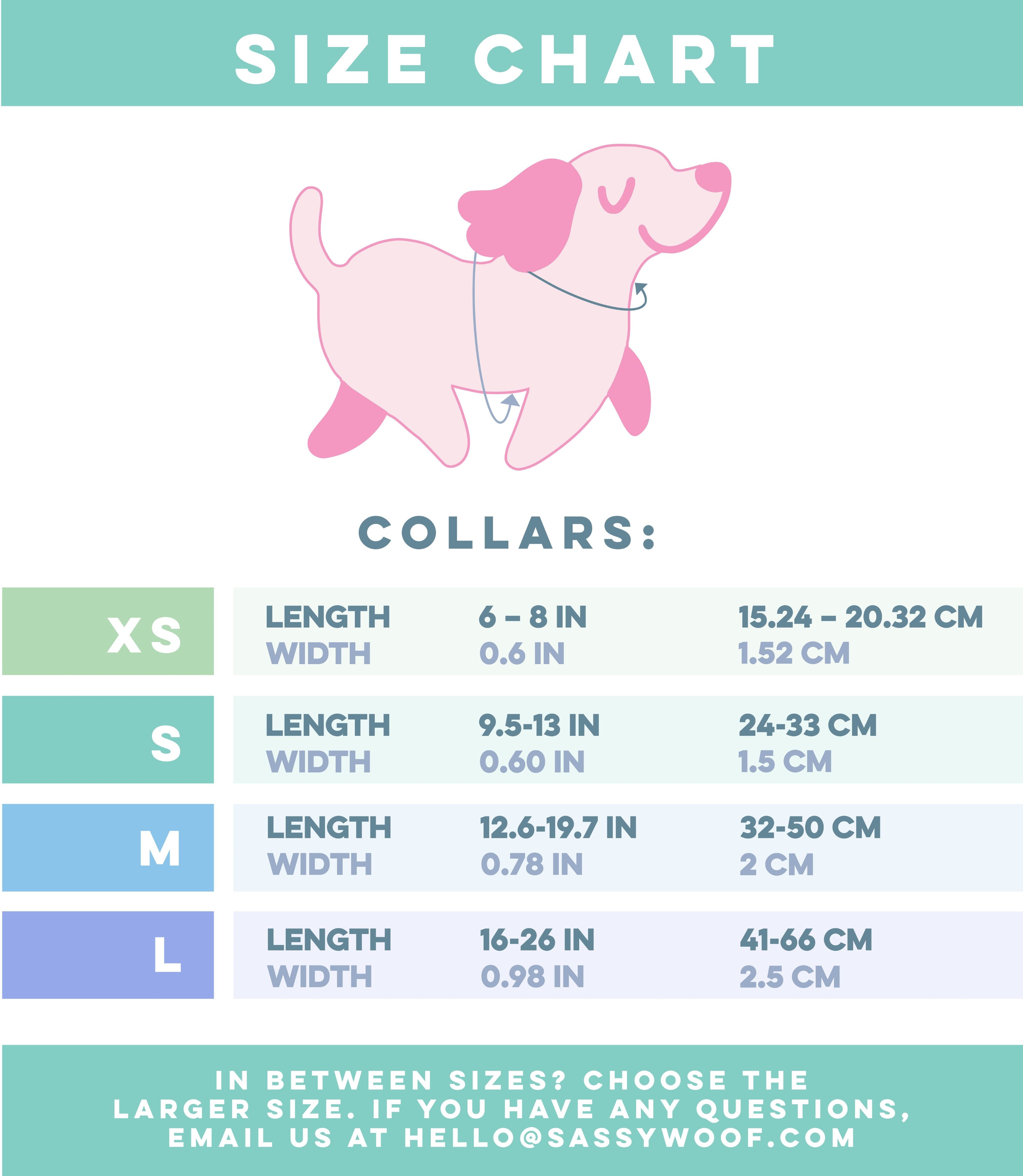 Dog Collar - Polly Pocket™