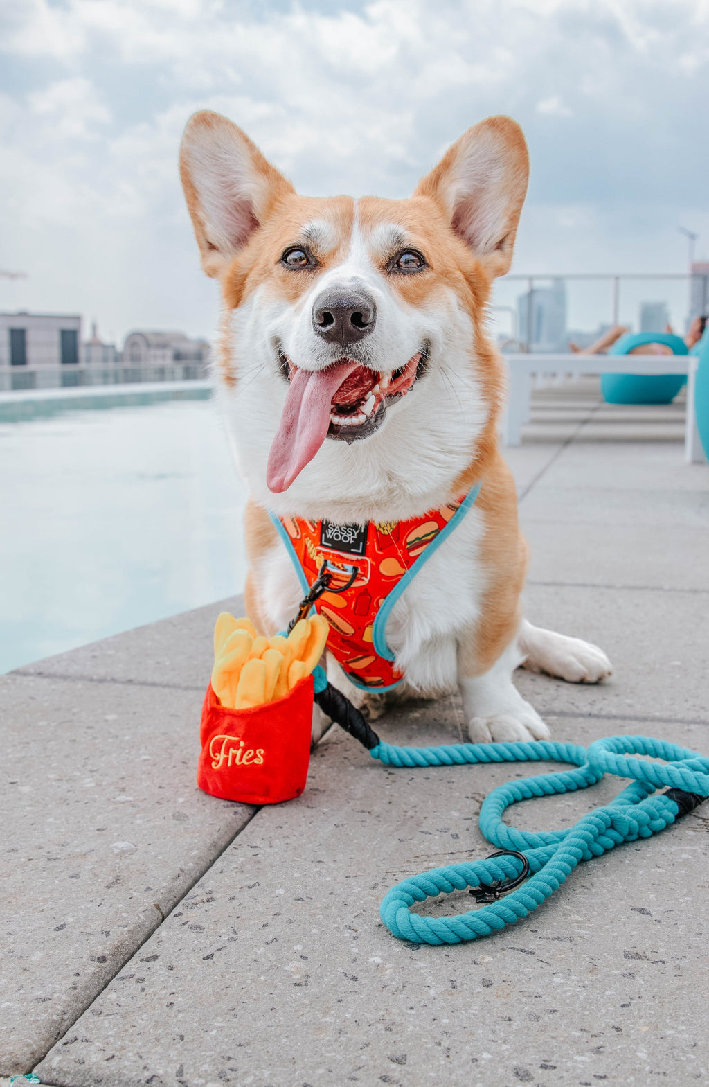 Dog Reversible Harness - One Hot Pupperoni