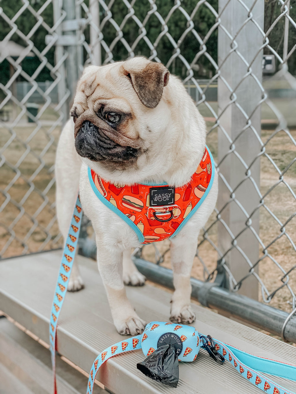 Dog Reversible Harness - One Hot Pupperoni
