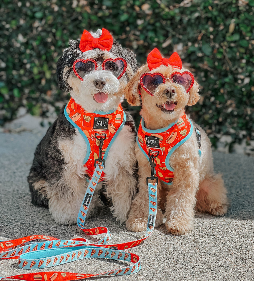 Dog Reversible Harness - One Hot Pupperoni