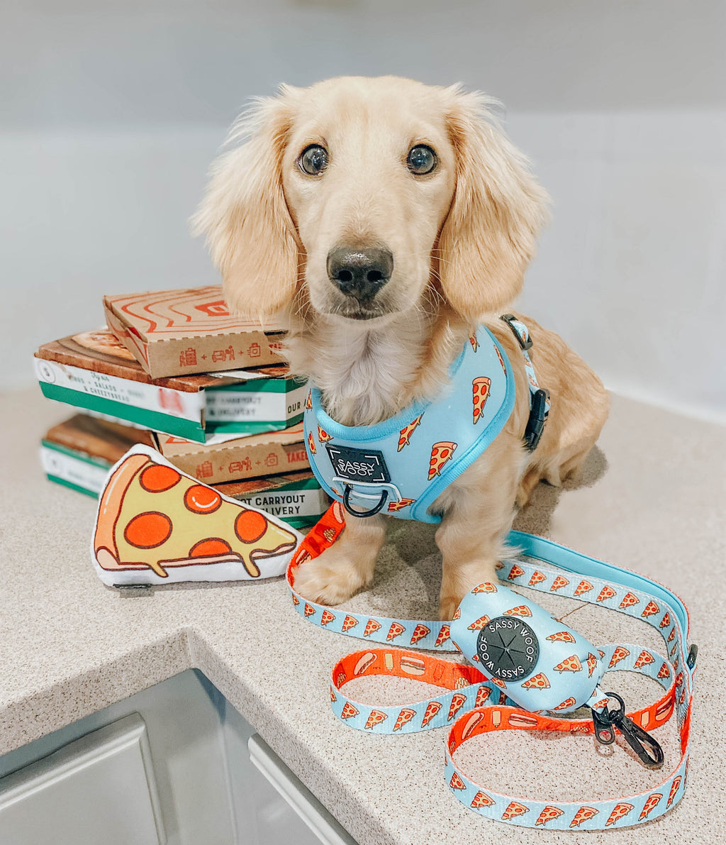 Dog Reversible Harness - One Hot Pupperoni
