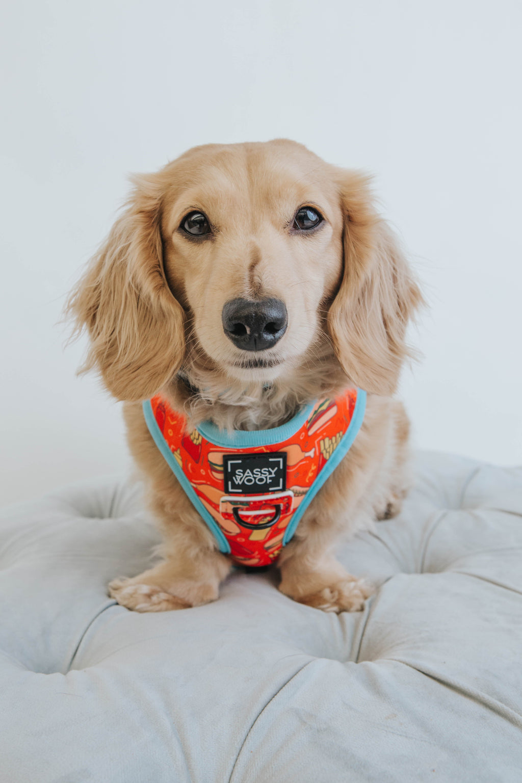 Dog Reversible Harness - One Hot Pupperoni
